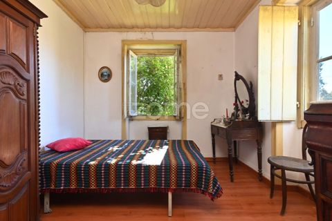 Granja a Abrantes, Santarem, Abrantes - € 274.000 | Ref: ZMPT582386 - foto 5