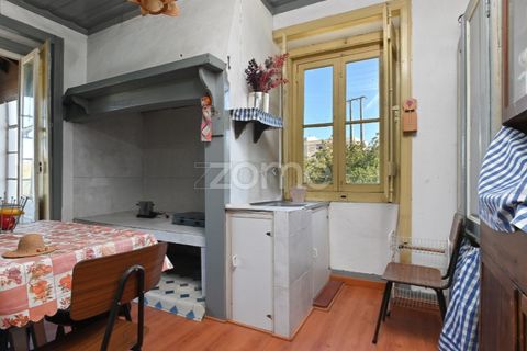 Granja a Abrantes, Santarem, Abrantes - € 274.000 | Ref: ZMPT582386 - foto 15