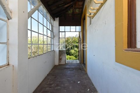 Granja a Abrantes, Santarem, Abrantes - € 274.000 | Ref: ZMPT582386 - foto 18