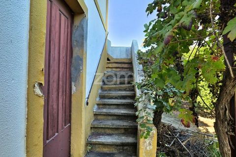 Granja a Abrantes, Santarem, Abrantes - € 274.000 | Ref: ZMPT582386 - foto 19