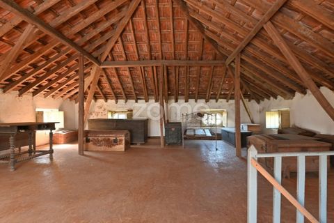 Granja a Abrantes, Santarem, Abrantes - € 274.000 | Ref: ZMPT582386 - foto 20