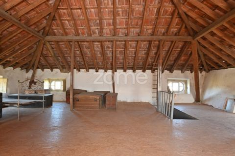 Granja a Abrantes, Santarem, Abrantes - € 274.000 | Ref: ZMPT582386 - foto 22