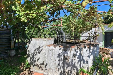 Granja a Abrantes, Santarem, Abrantes - € 274.000 | Ref: ZMPT582386 - foto 29