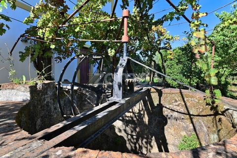 Granja a Abrantes, Santarem, Abrantes - € 274.000 | Ref: ZMPT582386 - foto 30