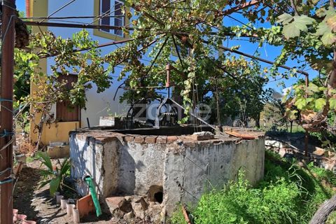 Granja a Abrantes, Santarem, Abrantes - € 274.000 | Ref: ZMPT582386 - foto 31