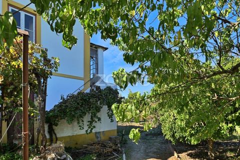 Granja a Abrantes, Santarem, Abrantes - € 274.000 | Ref: ZMPT582386 - foto 32