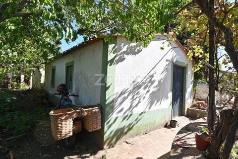 Granja a Abrantes, Santarem, Abrantes - € 274.000 | Ref: ZMPT582386 - foto 33