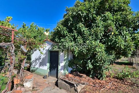Granja a Abrantes, Santarem, Abrantes - € 274.000 | Ref: ZMPT582386 - foto 34