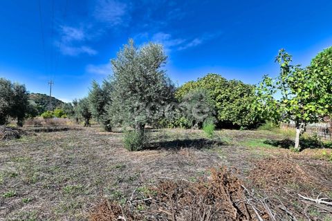 Granja a Abrantes, Santarem, Abrantes - € 274.000 | Ref: ZMPT582386 - foto 36