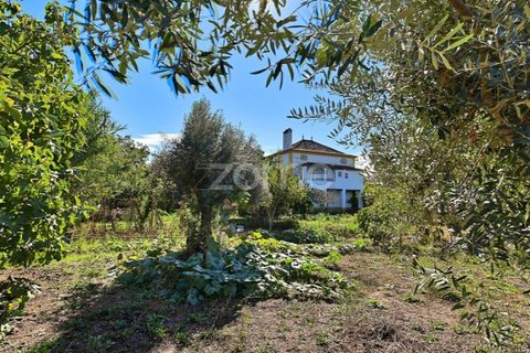 Granja a Abrantes, Santarem, Abrantes - € 274.000 | Ref: ZMPT582386 - foto 37