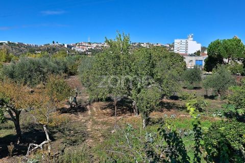 Granja a Abrantes, Santarem, Abrantes - € 274.000 | Ref: ZMPT582386 - foto 38