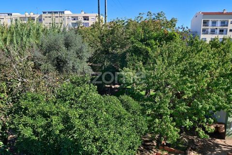 Granja a Abrantes, Santarem, Abrantes - € 274.000 | Ref: ZMPT582386 - foto 39