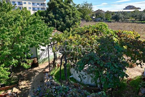 Granja a Abrantes, Santarem, Abrantes - € 274.000 | Ref: ZMPT582386 - foto 40