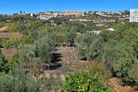 Granja a Abrantes, Santarem, Abrantes - € 274.000 | Ref: ZMPT582386 - foto 41
