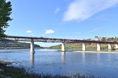 Granja a Abrantes, Santarem, Abrantes - € 274.000 | Ref: ZMPT582386 - foto 42