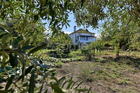 Granja a Abrantes, Santarem, Abrantes - € 274.000 | Ref: ZMPT582386 - foto 2
