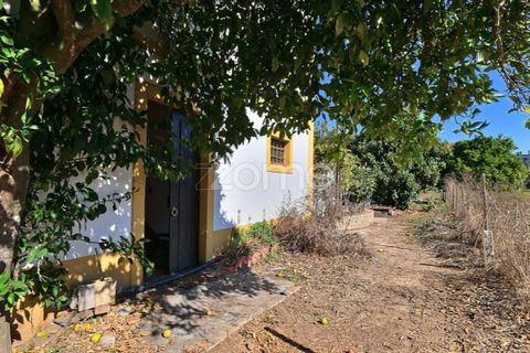 Granja a Abrantes, Santarem, Abrantes - € 274.000 | Ref: ZMPT582386 - foto 27