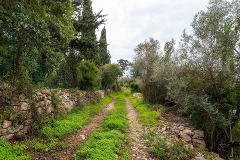 Helårsgrund i Moncarapacho, Faro, Moncarapacho - € 140.000 | Ref: KWPT-025327 - foto 11