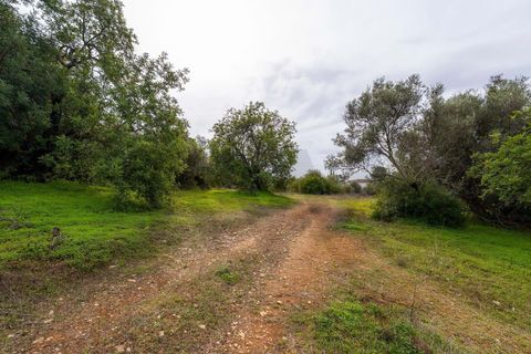 Helårsgrund i Moncarapacho, Faro, Moncarapacho - € 140.000 | Ref: KWPT-025327 - foto 15