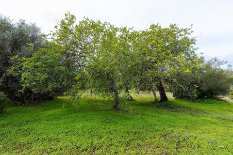Helårsgrund i Moncarapacho, Faro, Moncarapacho - € 140.000 | Ref: KWPT-025327 - foto 16