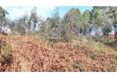 Helårsgrund i Nogueira do Cravo e Pindelo, Aveiro, Nogueira do Cravo e Pindelo - € 200.000 | Ref: 145 - foto 5