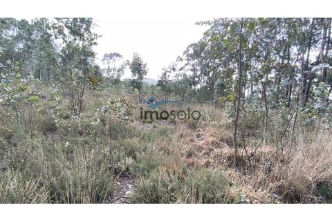 Helårsgrund i Nogueira do Cravo e Pindelo, Aveiro, Nogueira do Cravo e Pindelo - € 200.000 | Ref: 145 - foto 9