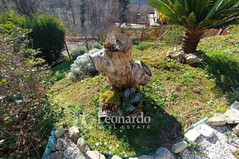 Villa i Camaiore, Lucca, Camaiore - € 500.000 | Ref: C479 - foto 5