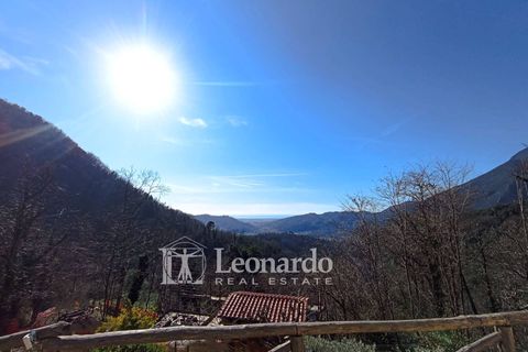 Villa i Camaiore, Lucca, Camaiore - € 500.000 | Ref: C479 - foto 35