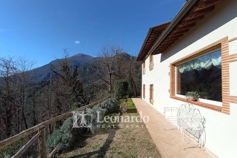 Villa i Camaiore, Lucca, Camaiore - € 500.000 | Ref: C479 - foto 37