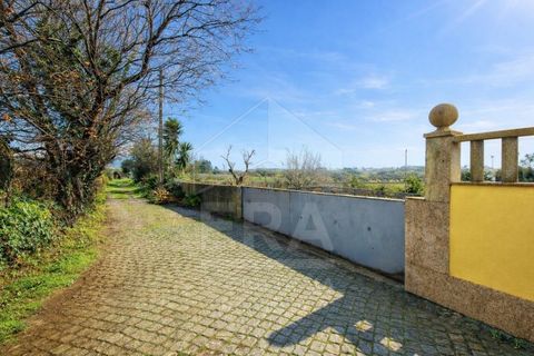 Helårsgrund i Esposende, Braga, Esposende - € 67.500 | Ref: 039260014 - foto 3