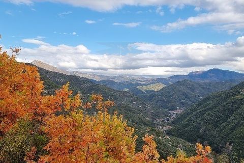 Villa i Dolceacqua, Imperia, Dolceacqua - € 950.000 | Ref: 23756 - foto 19