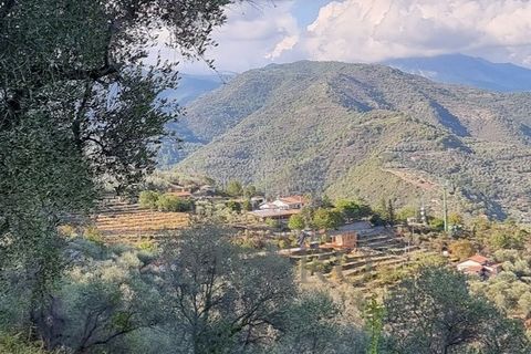 Villa i Dolceacqua, Imperia, Dolceacqua - € 950.000 | Ref: 23756 - foto 20