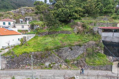 Helårsgrund i Ribeira Brava, Madeira, Ribeira Brava - € 80.000 | Ref: KWPT-028289 - foto 13