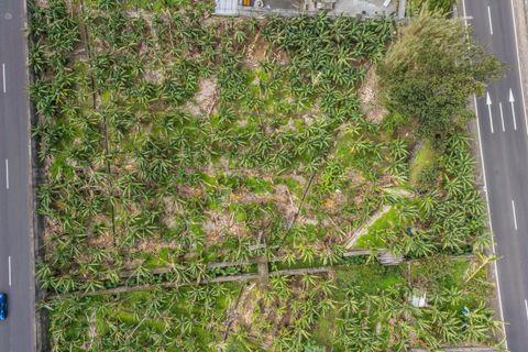 Helårsgrund i Ribeira Brava, Madeira, Ribeira Brava - € 120.000 | Ref: KWPT-025566 - foto 5