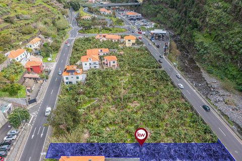 Helårsgrund i Ribeira Brava, Madeira, Ribeira Brava - € 120.000 | Ref: KWPT-025566 - foto 8