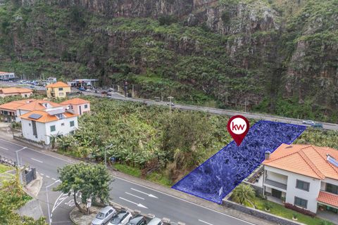 Helårsgrund i Ribeira Brava, Madeira, Ribeira Brava - € 120.000 | Ref: KWPT-025566 - foto 12