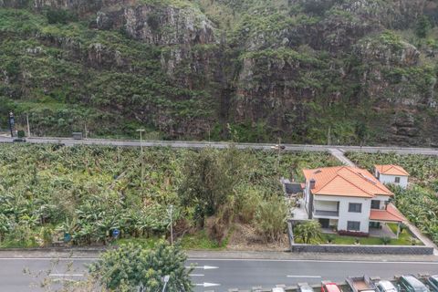 Helårsgrund i Ribeira Brava, Madeira, Ribeira Brava - € 120.000 | Ref: KWPT-025566 - foto 13