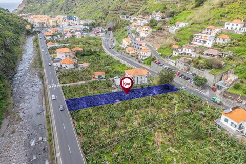 Helårsgrund i Ribeira Brava, Madeira, Ribeira Brava - € 120.000 | Ref: KWPT-025566 - foto 15