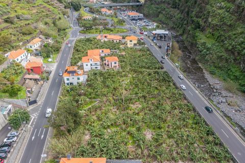 Helårsgrund i Ribeira Brava, Madeira, Ribeira Brava - € 120.000 | Ref: KWPT-025566 - foto 16