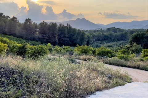 Helårsgrund i Jalon, Alicante, Jalon - € 150.000 | Ref: J-0001 - foto 1