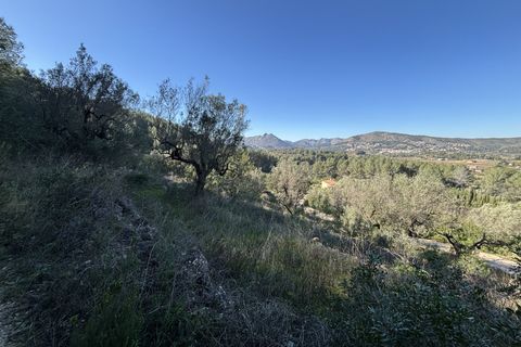 Helårsgrund i Jalon, Alicante, Jalon - € 150.000 | Ref: J-0001 - foto 4