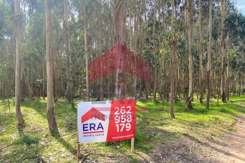 Helårsgrund i Vau, Leiria, Vau - € 35.000 | Ref: 150260031 - foto 1