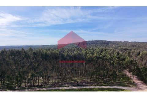 Helårsgrund i Vau, Leiria, Vau - € 35.000 | Ref: 150260031 - foto 2