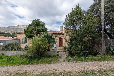 Villa i Pollenca, Mallorca, Pollenca - € 620.000 | Ref: 04AM107/3010 - foto 4