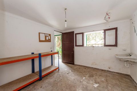 Villa i Pollenca, Mallorca, Pollenca - € 620.000 | Ref: 04AM107/3010 - foto 15