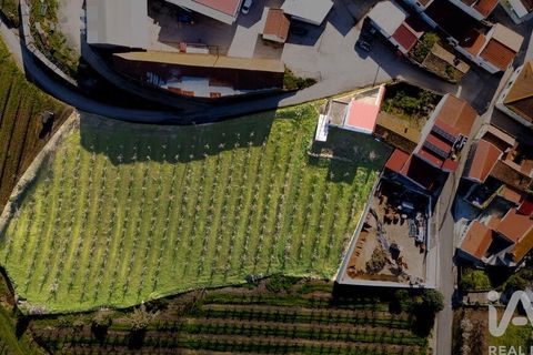 Byhus i Bombarral, Leiria, Bombarral - € 240.000 | Ref: 827578 - foto 19