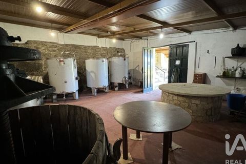 Byhus i Valenca, Viana do Castelo, Valenca - € 3.500.000 | Ref: 117792 - foto 9