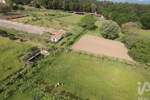 Byhus i Valenca, Viana do Castelo, Valenca - € 3.500.000 | Ref: 117792 - foto 22