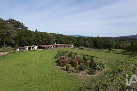 Byhus i Valenca, Viana do Castelo, Valenca - € 3.500.000 | Ref: 117792 - foto 23