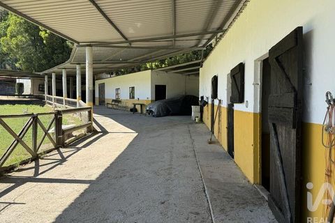 Byhus i Valenca, Viana do Castelo, Valenca - € 3.500.000 | Ref: 117792 - foto 24